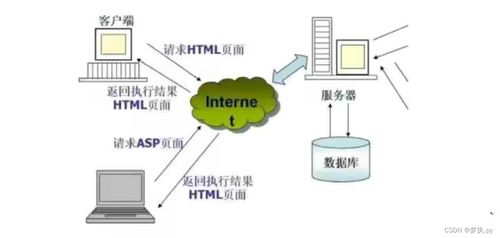 分层模型与协议 计算机网络服务的基础